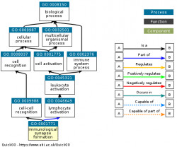 DAG for GO:0001771