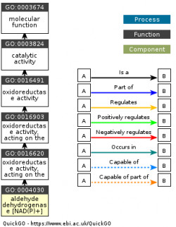 DAG for GO:0004030