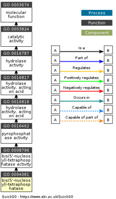 DAG for GO:0004081