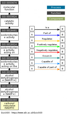 DAG for GO:0004090