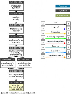 DAG for GO:0004145