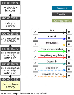 DAG for GO:0004322