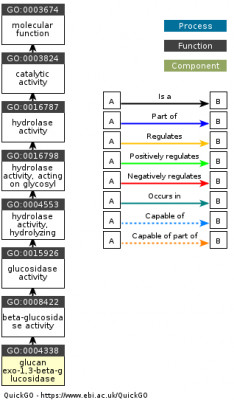 DAG for GO:0004338