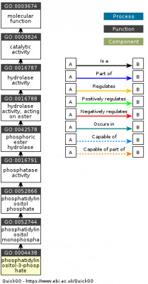 DAG for GO:0004438