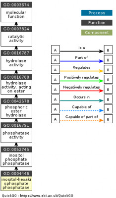 DAG for GO:0004446