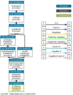 DAG for GO:0006014