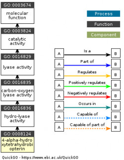 DAG for GO:0008124