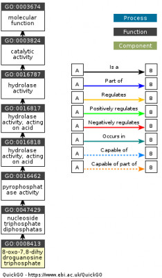 DAG for GO:0008413