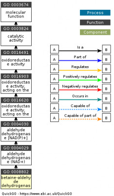 DAG for GO:0008802