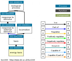 DAG for GO:0009453