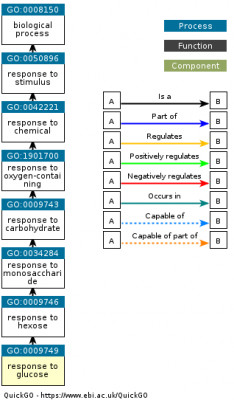 DAG for GO:0009749