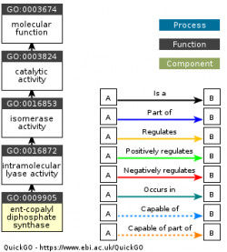 DAG for GO:0009905