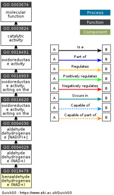 DAG for GO:0018479