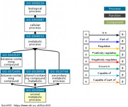 DAG for GO:0018940
