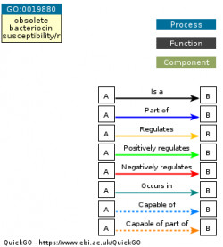 DAG for GO:0019880