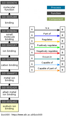 DAG for GO:0031402