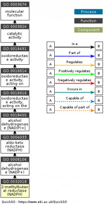 DAG for GO:0032018