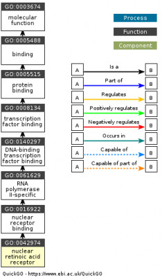 DAG for GO:0042974