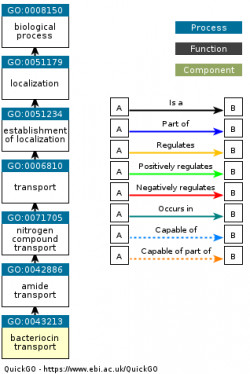 DAG for GO:0043213