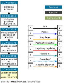 DAG for GO:0044499