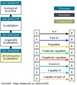 DAG for GO:0050000