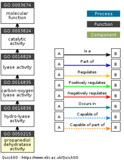 DAG for GO:0050215