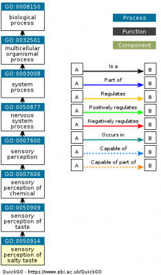 DAG for GO:0050914