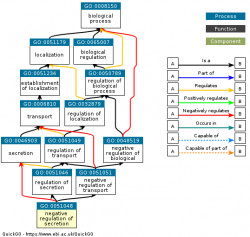 DAG for GO:0051048