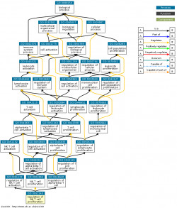 DAG for GO:0051140