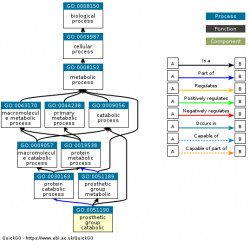 DAG for GO:0051190