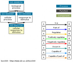 DAG for GO:0051716