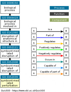 DAG for GO:0052039