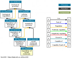 DAG for GO:0062012