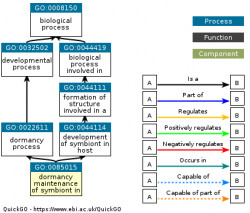 DAG for GO:0085015