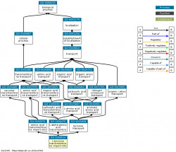 DAG for GO:0090514