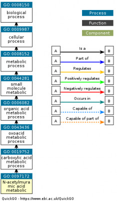 DAG for GO:0097172