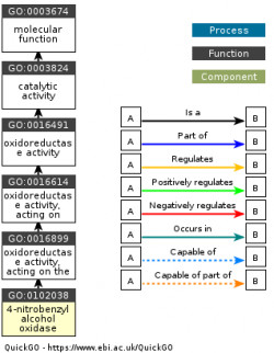 DAG for GO:0102038