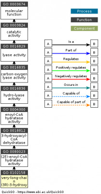 DAG for GO:0102158