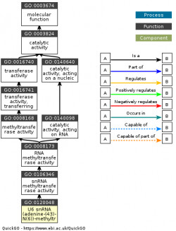 DAG for GO:0120048