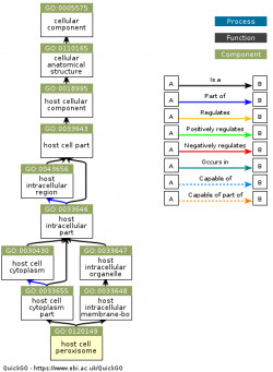 DAG for GO:0120149