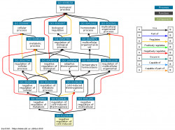 DAG for GO:0120163