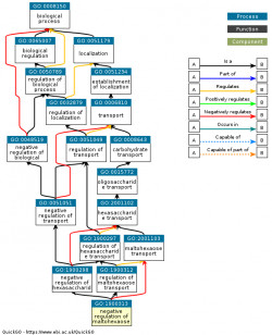 DAG for GO:1900313