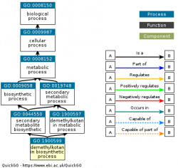 DAG for GO:1900599