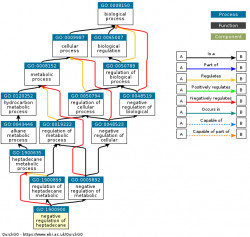 DAG for GO:1900900