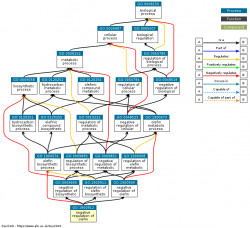 DAG for GO:1900912