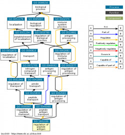 DAG for GO:1901039