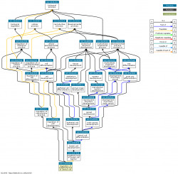DAG for GO:1904444