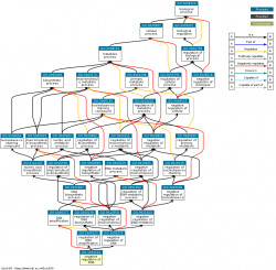 DAG for GO:1904524