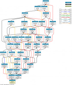 DAG for GO:1904689