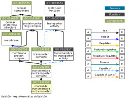 DAG for GO:1990195